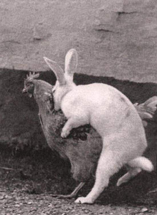 That's where Easter eggs come from ! Happy Easter :)