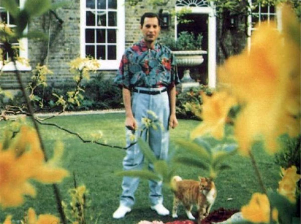 Last known photos of famous people - Freddie Mercury